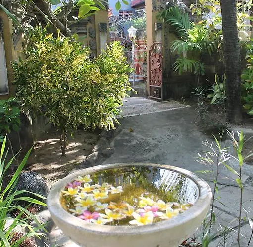 Pensión Palm 2*