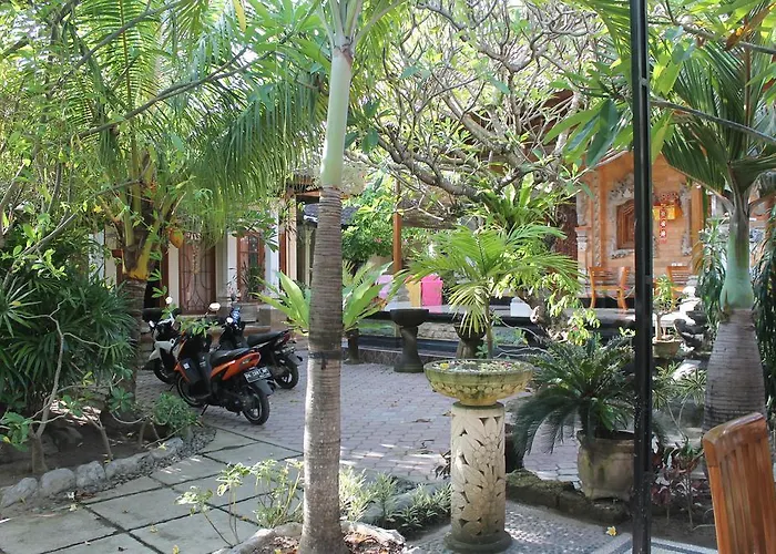 Pensión Palm 2*